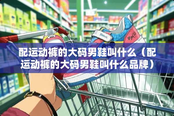 配运动裤的大码男鞋叫什么（配运动裤的大码男鞋叫什么品牌）