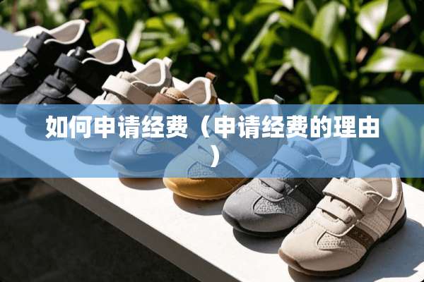 如何申请经费（申请经费的理由）