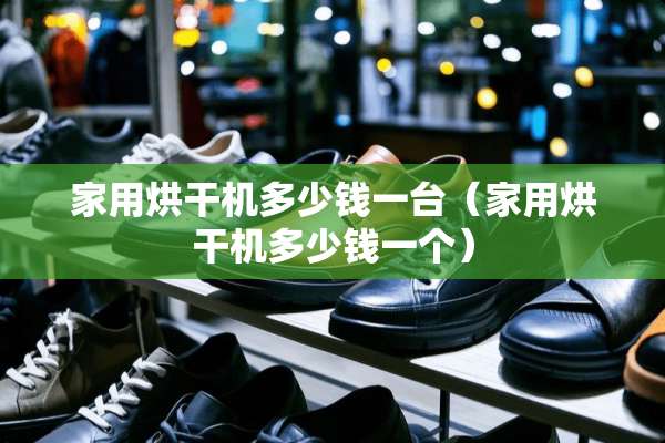 家用烘干机多少钱一台（家用烘干机多少钱一个）