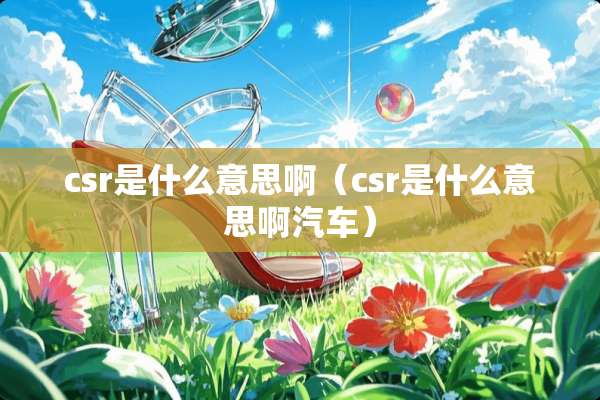 csr是什么意思啊（csr是什么意思啊汽车）