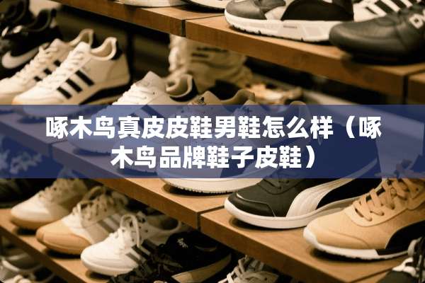 啄木鸟真皮皮鞋男鞋怎么样（啄木鸟品牌鞋子皮鞋）
