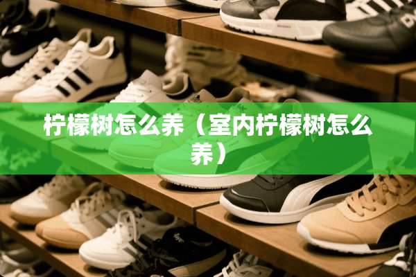 柠檬树怎么养（室内柠檬树怎么养）