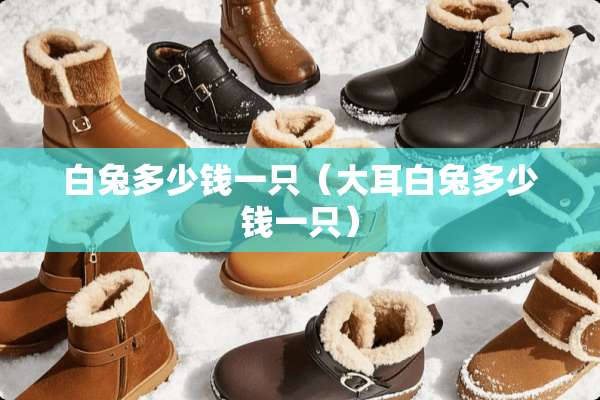 白兔多少钱一只（大耳白兔多少钱一只）