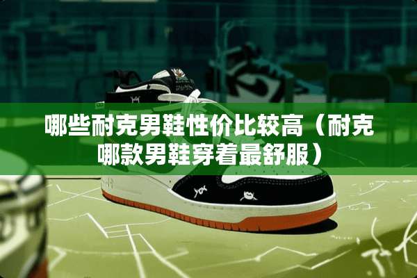 哪些耐克男鞋性价比较高（耐克哪款男鞋穿着最舒服）