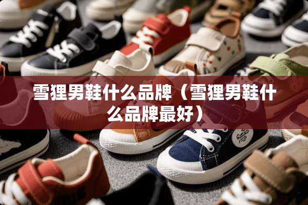 雪狸男鞋什么品牌（雪狸男鞋什么品牌最好）