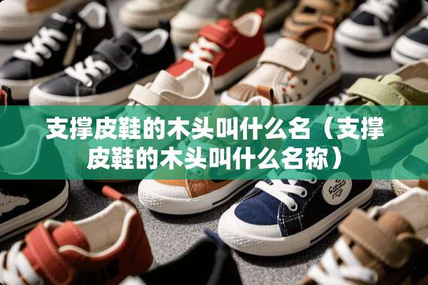 支撑皮鞋的木头叫什么名（支撑皮鞋的木头叫什么名称）
