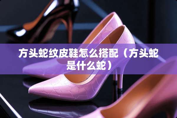 方头蛇纹皮鞋怎么搭配（方头蛇是什么蛇）