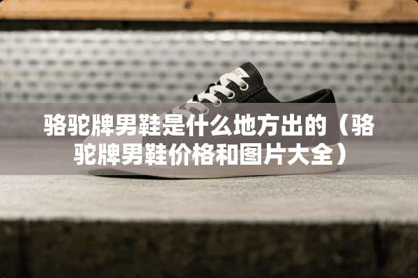 骆驼牌男鞋是什么地方出的（骆驼牌男鞋价格和图片大全）