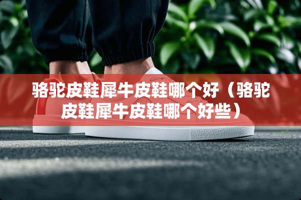 骆驼皮鞋犀牛皮鞋哪个好（骆驼皮鞋犀牛皮鞋哪个好些）