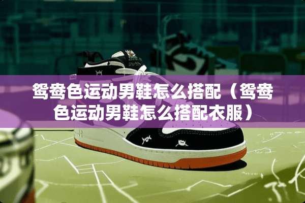 鸳鸯色运动男鞋怎么搭配（鸳鸯色运动男鞋怎么搭配衣服）