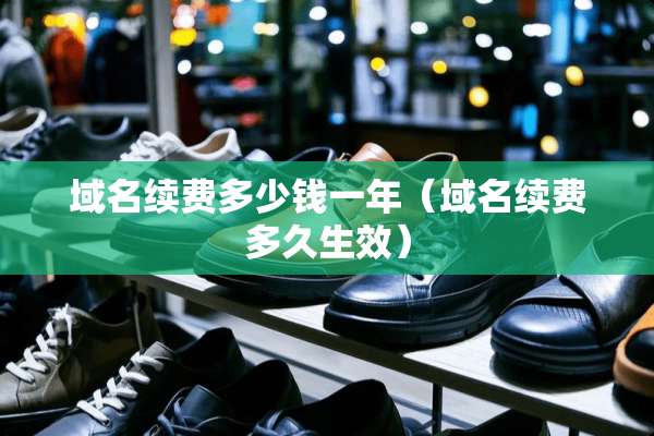 域名续费多少钱一年（域名续费多久生效）