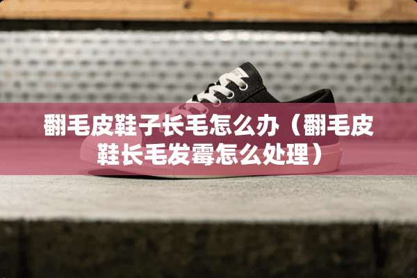 翻毛皮鞋子长毛怎么办（翻毛皮鞋长毛发霉怎么处理）