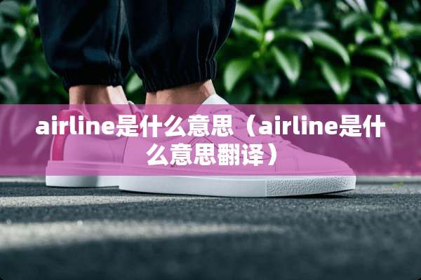 airline是什么意思（airline是什么意思翻译）