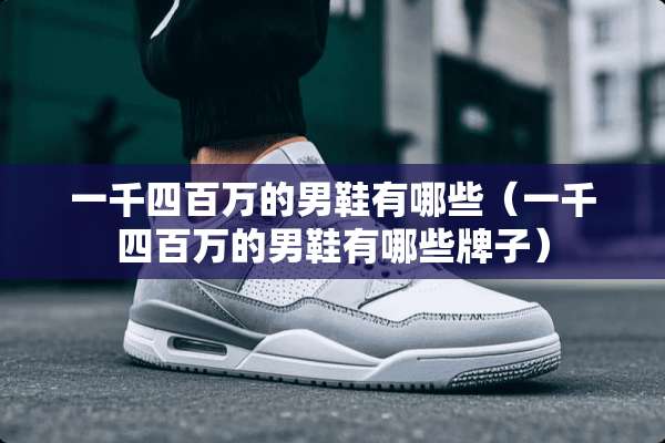 一千四百万的男鞋有哪些（一千四百万的男鞋有哪些牌子）