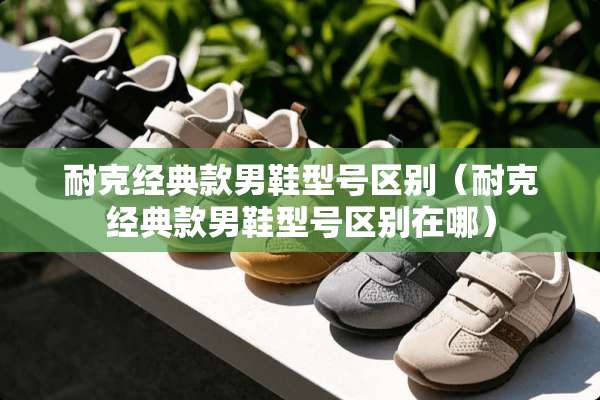 耐克经典款男鞋型号区别（耐克经典款男鞋型号区别在哪）