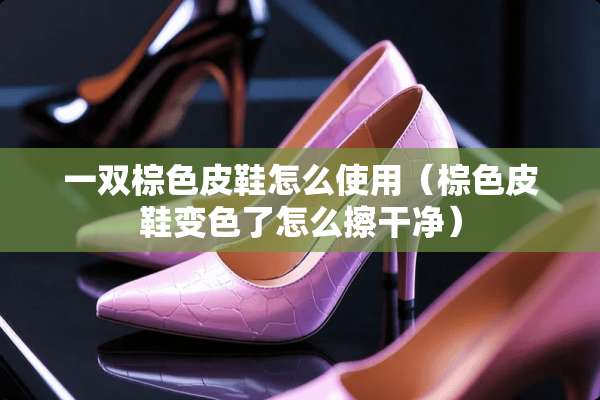 一双棕色皮鞋怎么使用（棕色皮鞋变色了怎么擦干净）