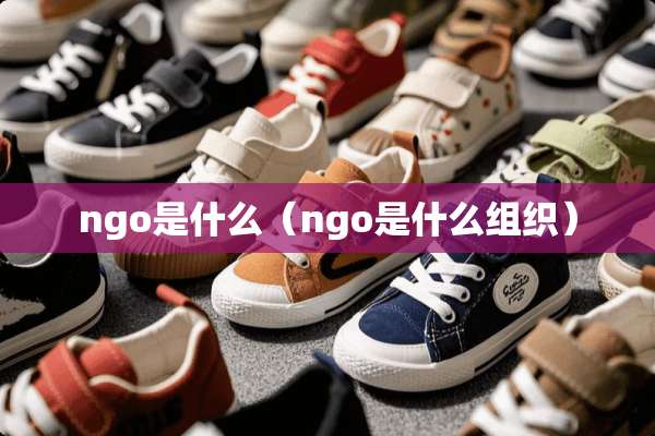 ngo是什么（ngo是什么组织）