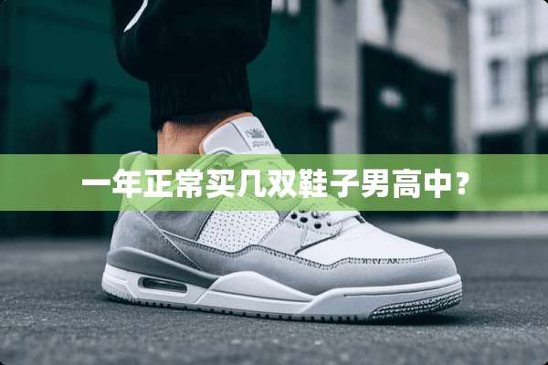 一年正常买几双鞋子男高中？