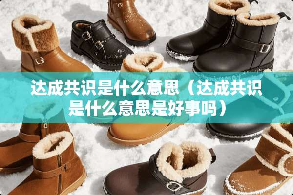 达成共识是什么意思（达成共识是什么意思是好事吗）
