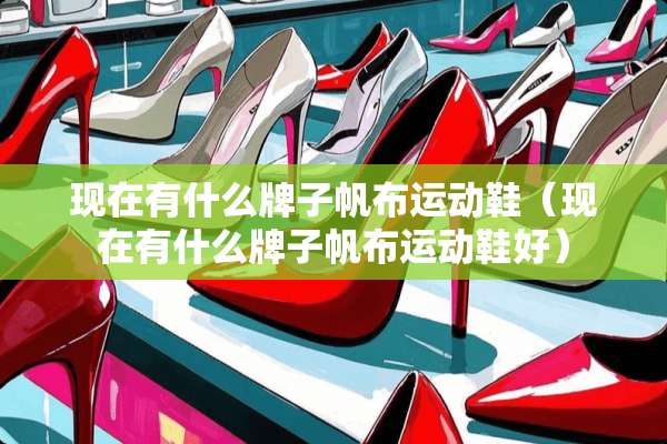 现在有什么牌子帆布运动鞋（现在有什么牌子帆布运动鞋好）