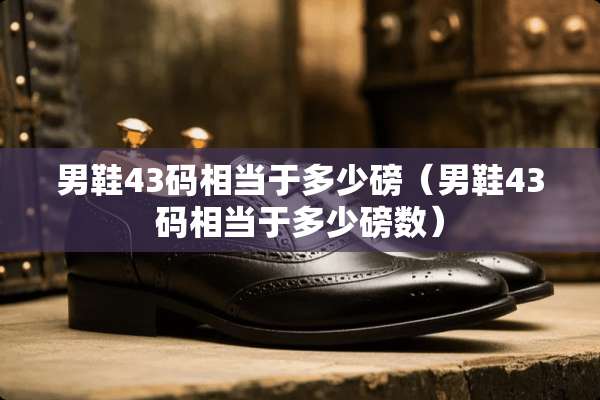 男鞋43码相当于多少磅（男鞋43码相当于多少磅数）