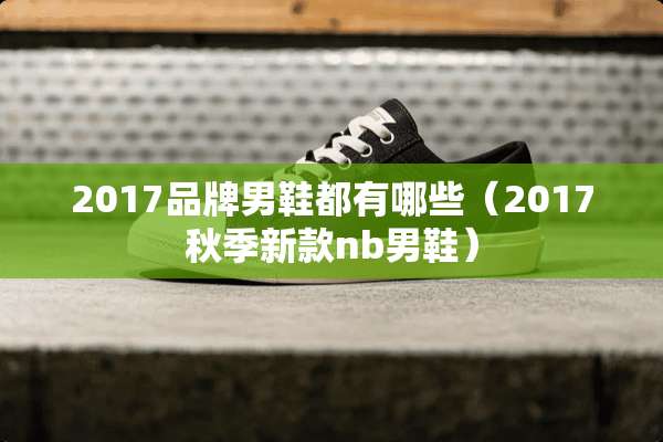 2017品牌男鞋都有哪些（2017秋季新款nb男鞋）