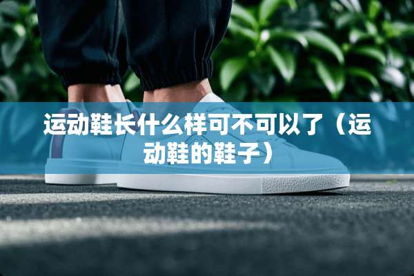 运动鞋长什么样可不可以了（运动鞋的鞋子）