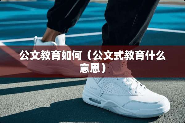 公文教育如何（公文式教育什么意思）