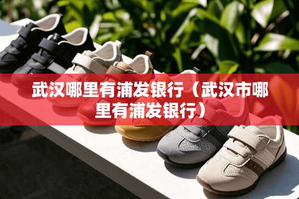 武汉哪里有浦发银行（武汉市哪里有浦发银行）