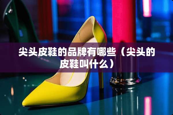 尖头皮鞋的品牌有哪些（尖头的皮鞋叫什么）