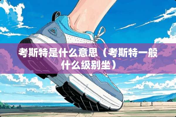 考斯特是什么意思（考斯特一般什么级别坐）