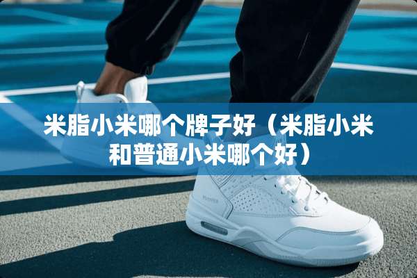 米脂小米哪个牌子好（米脂小米和普通小米哪个好）