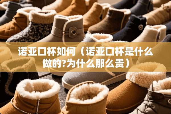 诺亚口杯如何（诺亚口杯是什么做的?为什么那么贵）