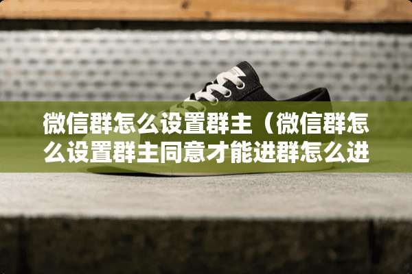 微信群怎么设置群主（微信群怎么设置群主同意才能进群怎么进群）