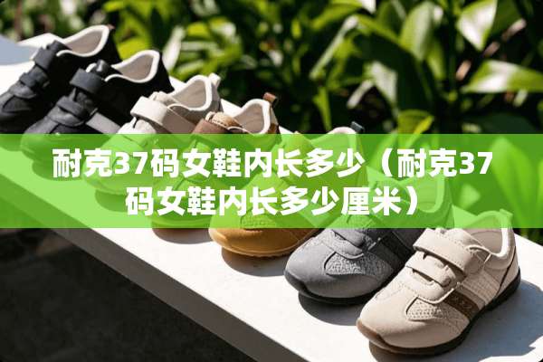 耐克37码女鞋内长多少（耐克37码女鞋内长多少厘米）