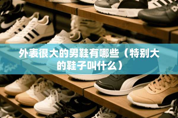 外表很大的男鞋有哪些（特别大的鞋子叫什么）
