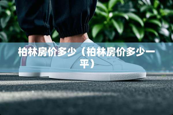 柏林房价多少（柏林房价多少一平）