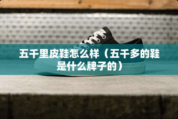 五千里皮鞋怎么样（五千多的鞋是什么牌子的）