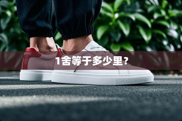 1舍等于多少里？