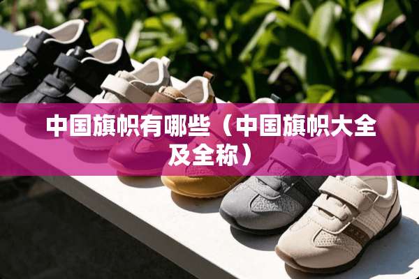 中国旗帜有哪些（中国旗帜大全及全称）