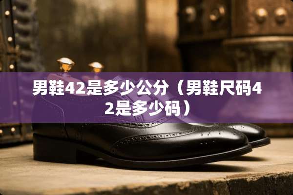男鞋42是多少公分（男鞋尺码42是多少码）
