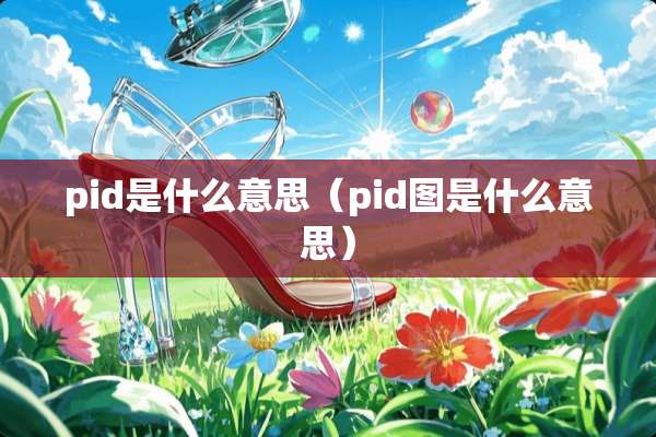 pid是什么意思（pid图是什么意思）