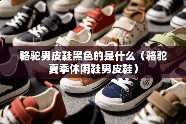 骆驼男皮鞋黑色的是什么（骆驼夏季休闲鞋男皮鞋）