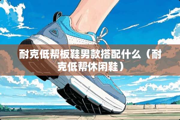 耐克低帮板鞋男款搭配什么（耐克低帮休闲鞋）