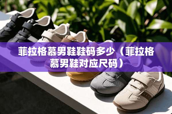 菲拉格慕男鞋鞋码多少（菲拉格慕男鞋对应尺码）
