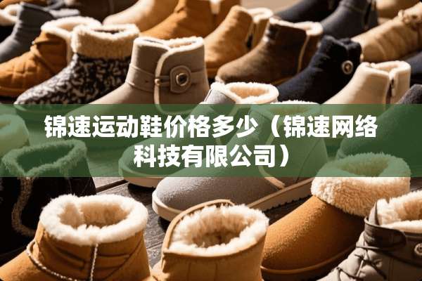 锦速运动鞋价格多少（锦速网络科技有限公司）