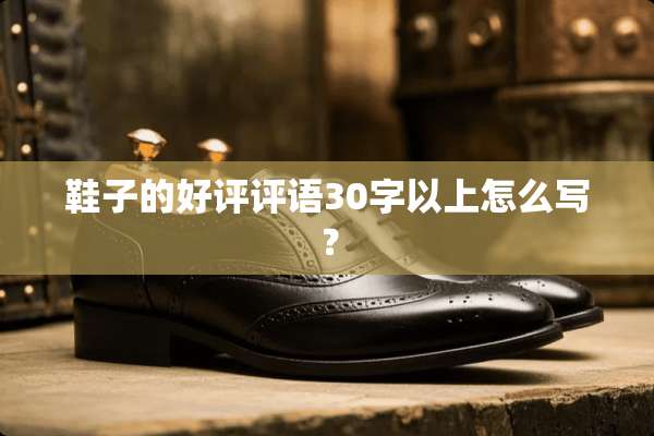 鞋子的好评评语30字以上怎么写？