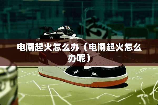 电闸起火怎么办（电闸起火怎么办呢）