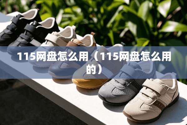 115网盘怎么用（115网盘怎么用的）