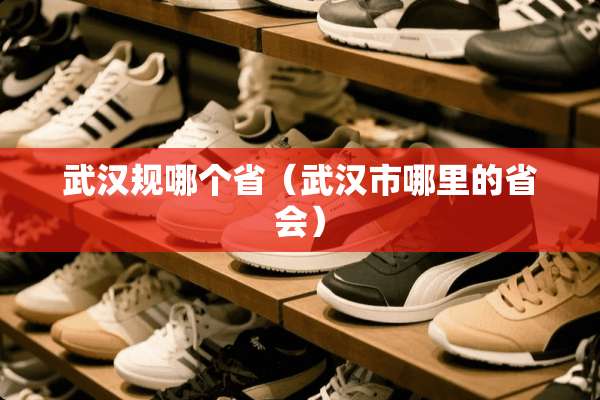 武汉规哪个省（武汉市哪里的省会）